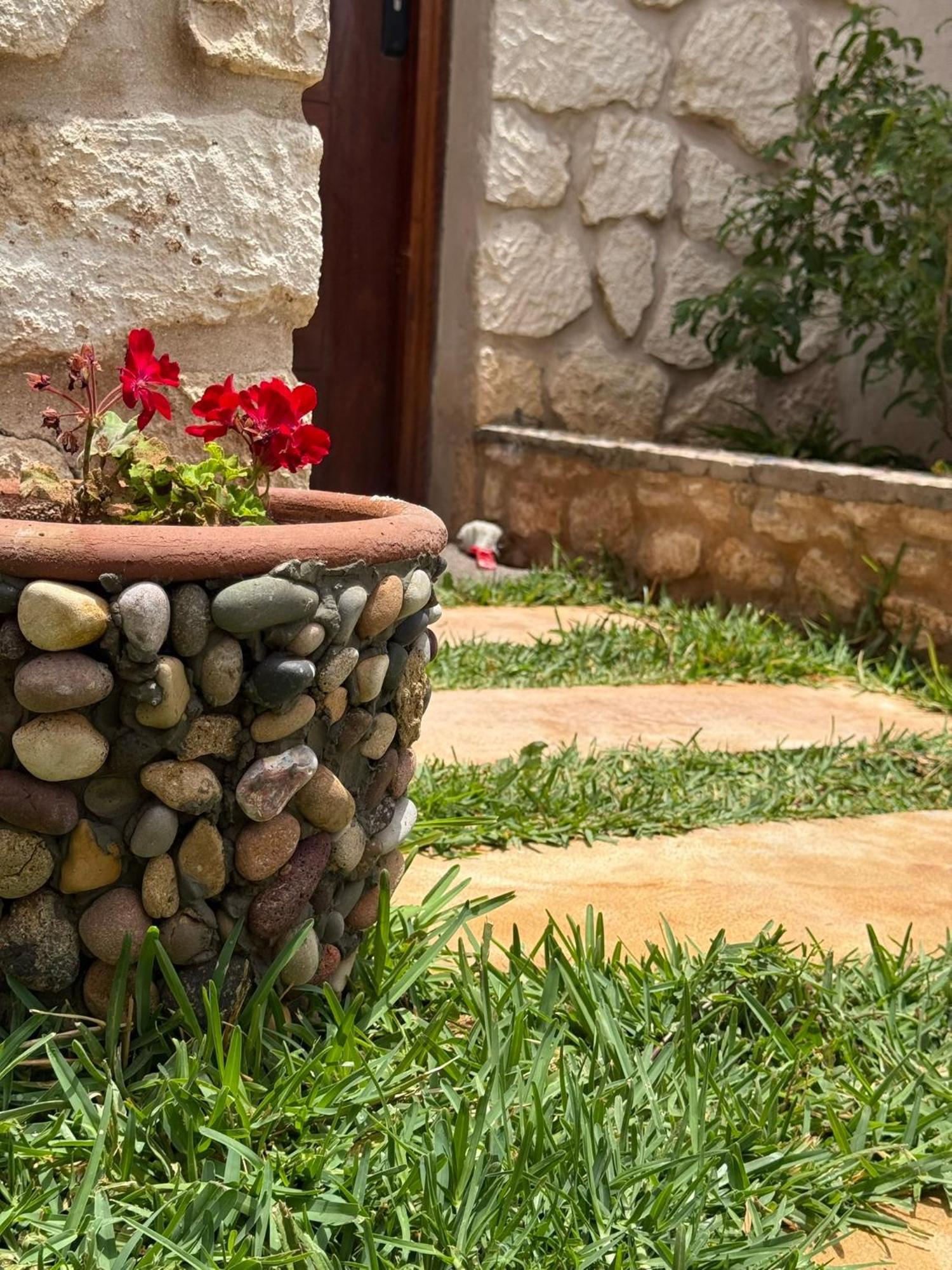 Villa Stone Kaouki's House *